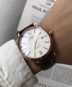 Svizzera Replica IWC | IC22