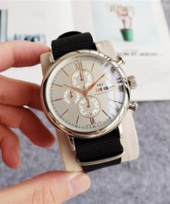 Svizzera Replica IWC | IC48